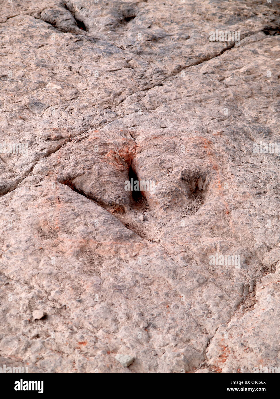 Vero e proprio fossile tracce di dinosauri esposta su un fossilizzato riverbed. Enciso. Spagna. Foto Stock
