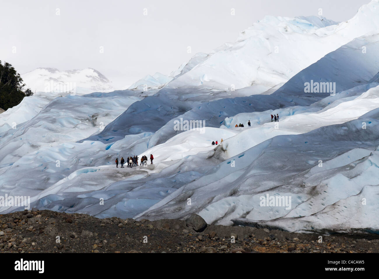 Il trekking di ghiaccio, Perito Moreno Glaciar, Patagonia Argentina Foto Stock