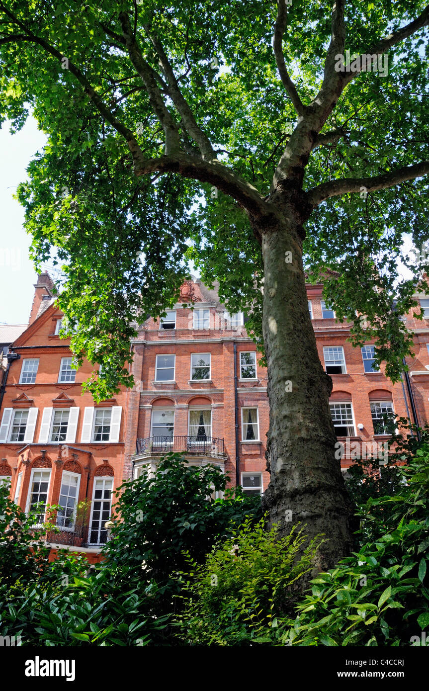 Casa visto dalla piazza di Cadogan Gardens Kensington e Chelsea London SW1 England Regno Unito Foto Stock