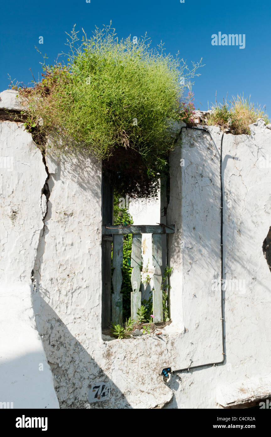 Un decadimento e parete ricoperta di una casa in rovina. Foto Stock