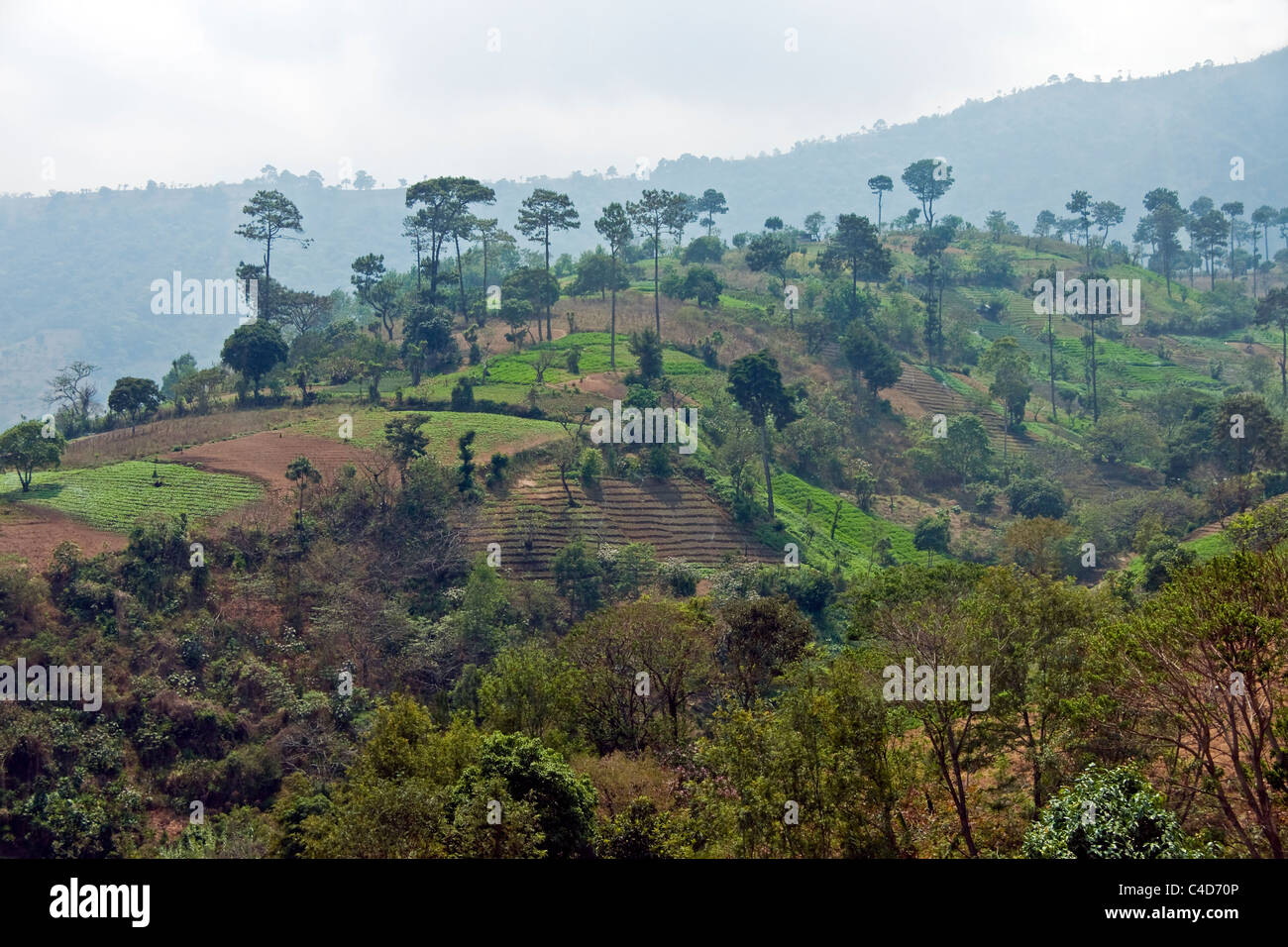 Rurale collinare terra coltivata ad ovest di Antigua, Guatemala. Foto Stock