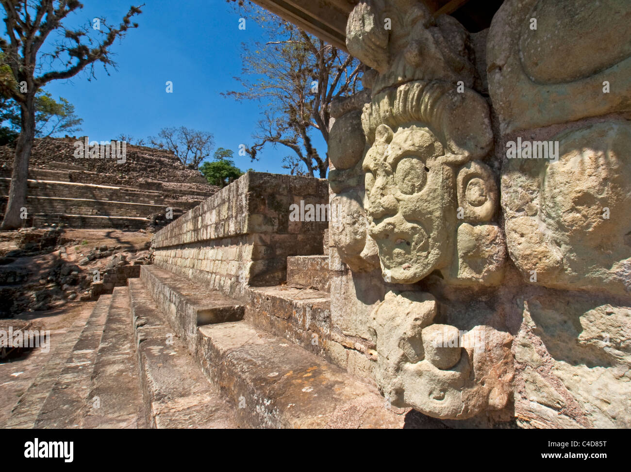 Faccia della Jaguar Sun dio degli inferi sulla scalinata occidentale di Corte est delle rovine maya di Copan Foto Stock