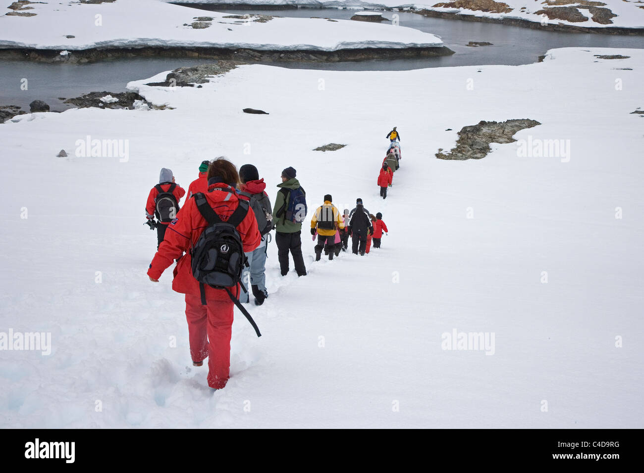 I viaggiatori avventurieri artico attraversando graham terra sulla penisola Antartica Foto Stock