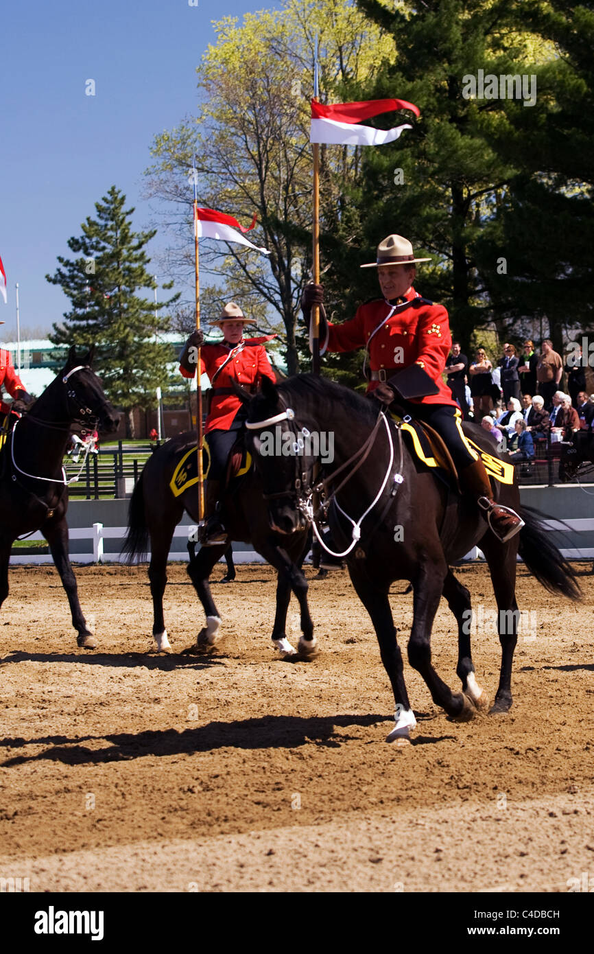 Maggio 2011, Ottawa, Ontario in Canada. Immagini dalla Royal Canadian polizia montata musicale del giro i commissari di revisione. Foto Stock