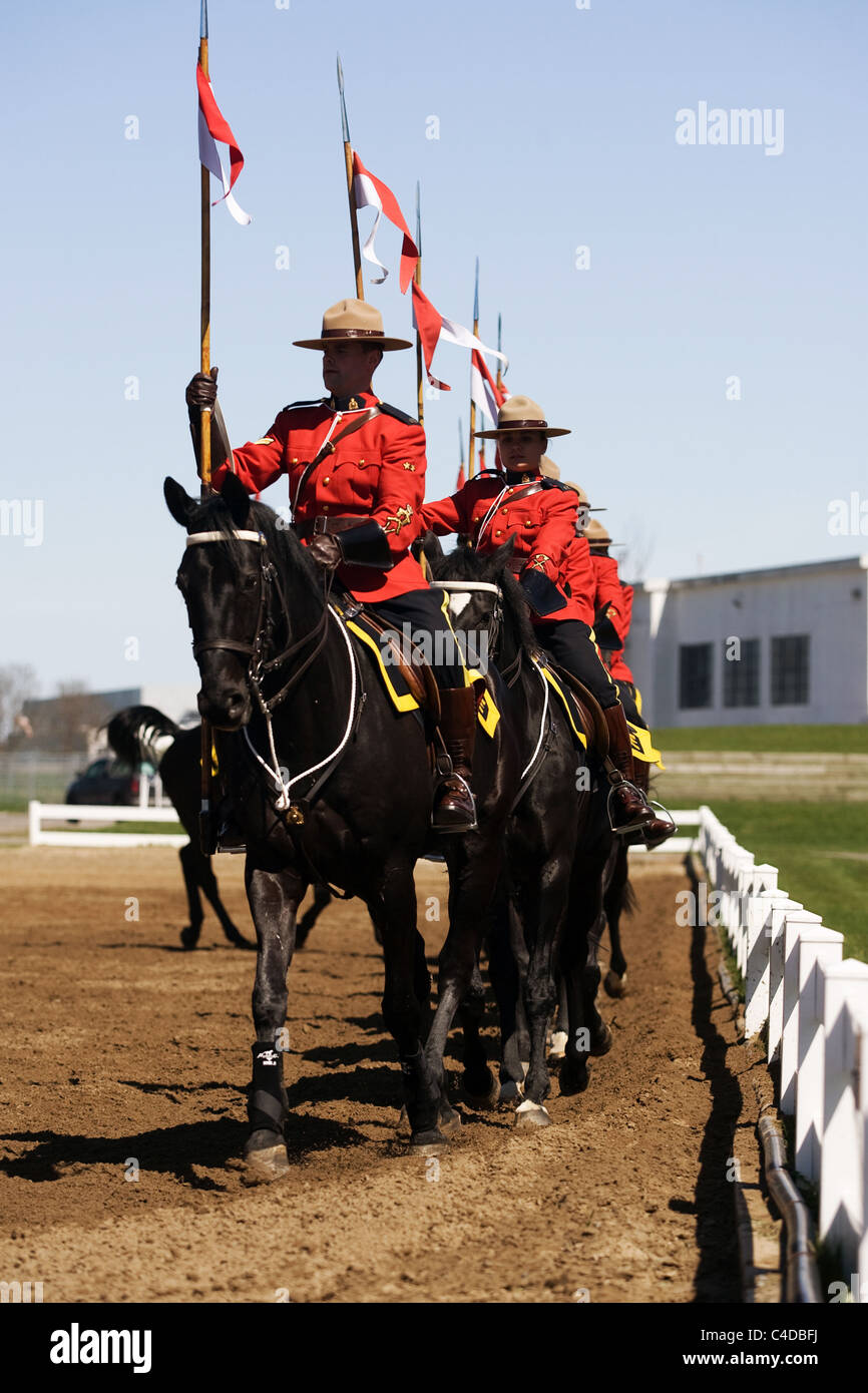 Maggio 2011, Ottawa, Ontario in Canada. Immagini dalla Royal Canadian polizia montata musicale del giro i commissari di revisione. Foto Stock