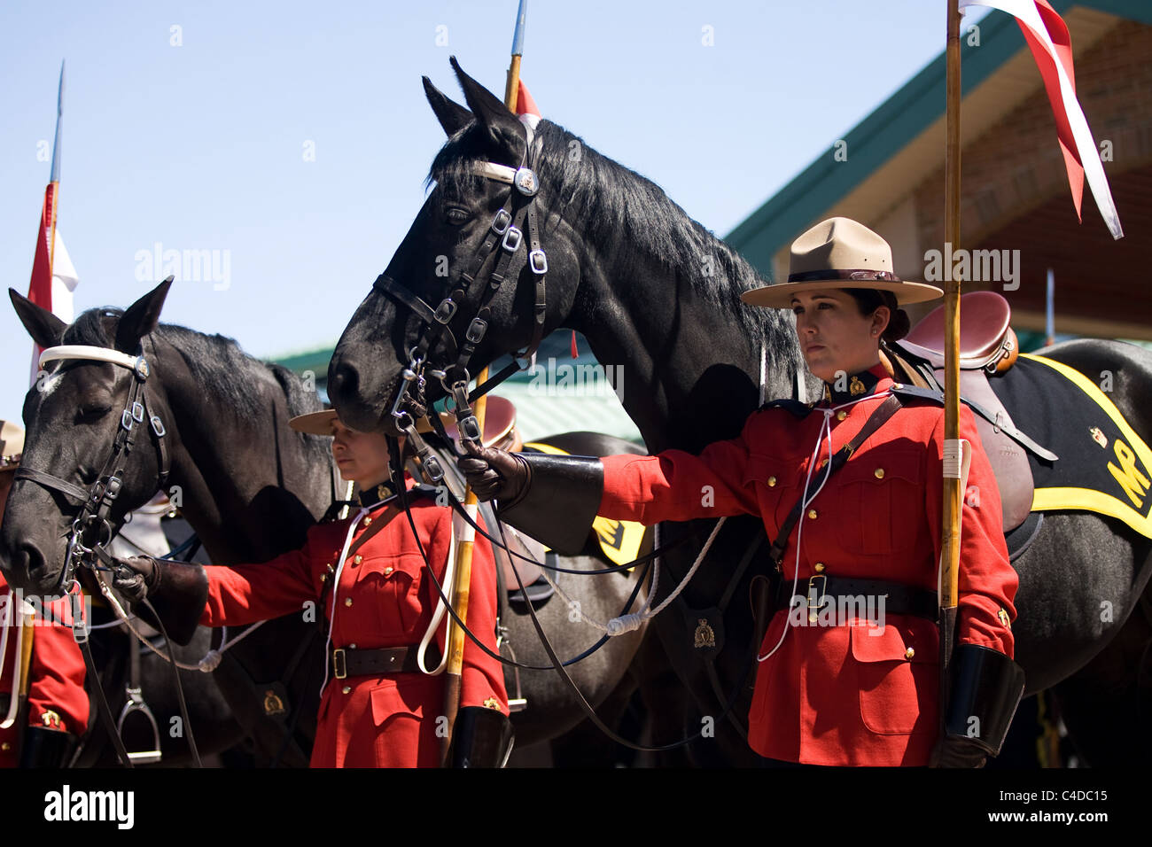 Maggio 2011, Ottawa, Ontario in Canada. Immagini dalla Royal Canadian polizia montata musicale del giro i commissari di revisione. Foto Stock