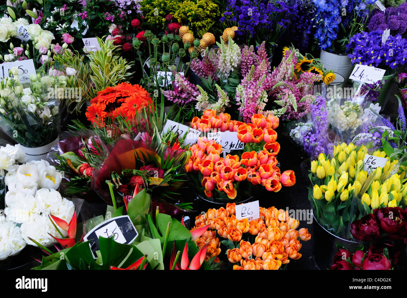 Fioraio Display a Borough Market, Southwark, Londra, Inghilterra, Regno Unito Foto Stock