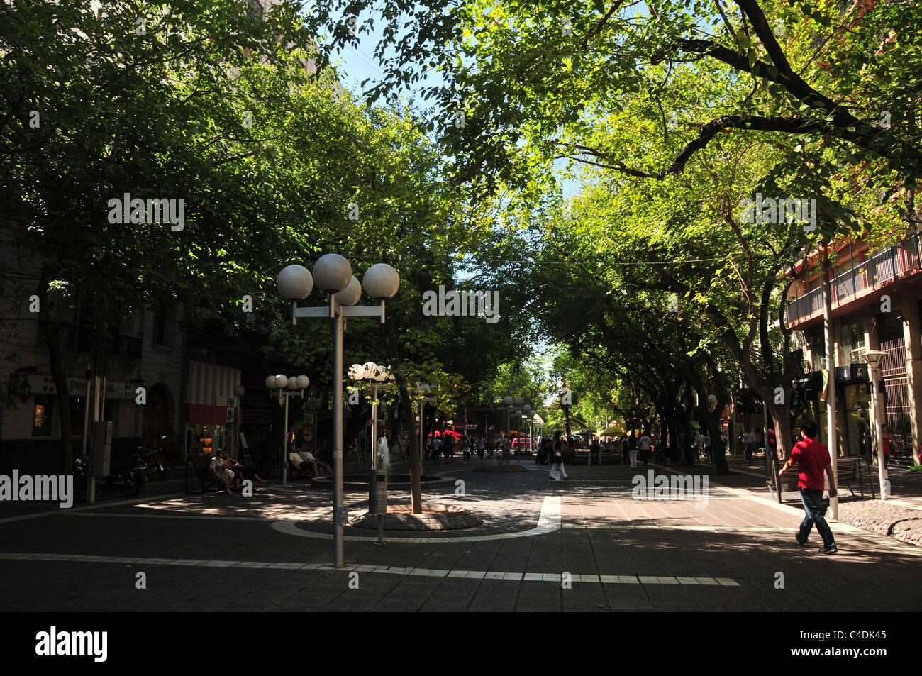 Sunny ombra vista della maglietta rossa uomo attraversando tegole rosse zona pedonale Paseo Sarmiento, sotto alberi verdi, Mendoza, Argentina Foto Stock