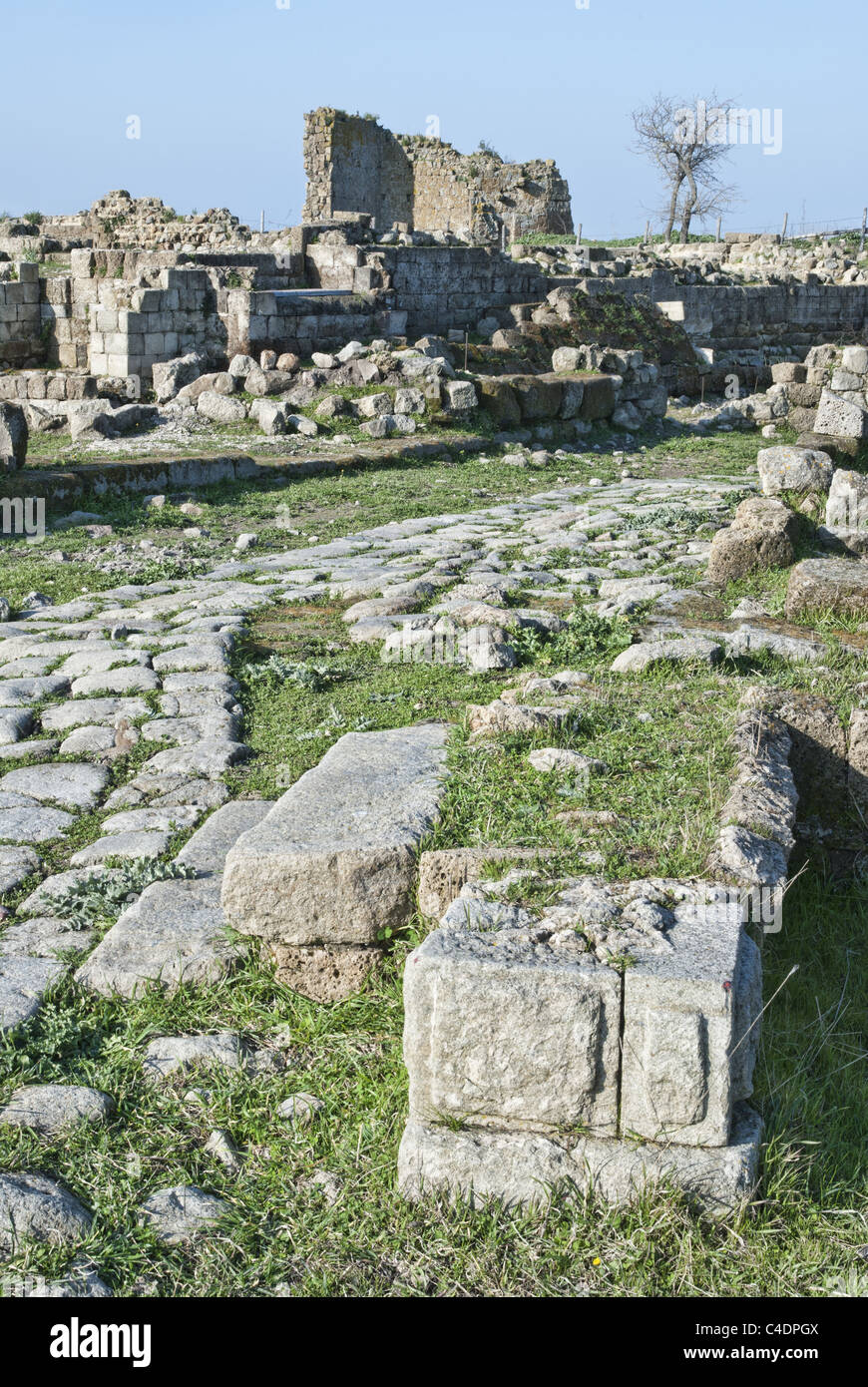 Rovine di Cencelle, Tarquinia, Italia centrale. Foto Stock