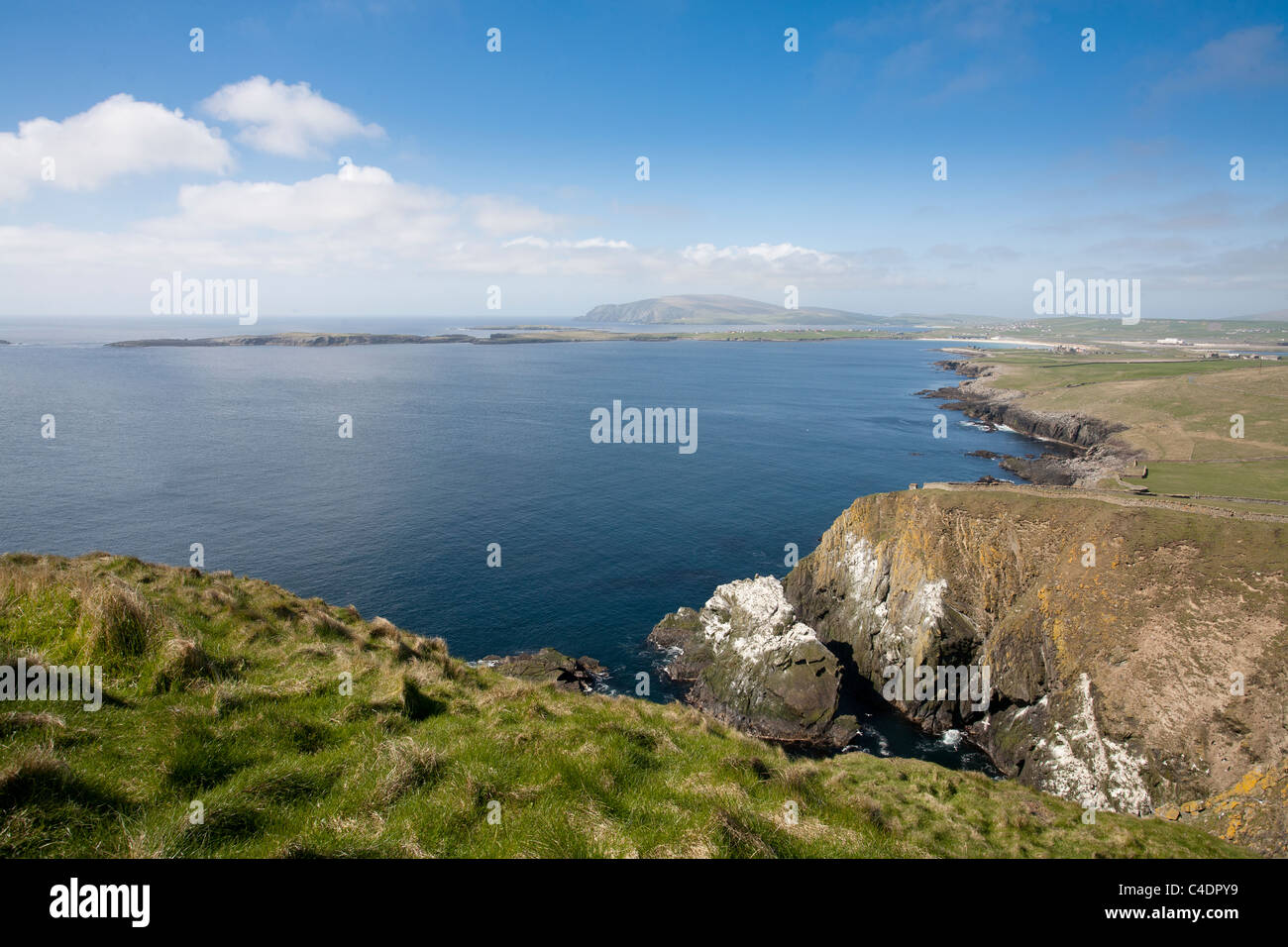 Vista dal Sumburgh Head, Shetland Foto Stock