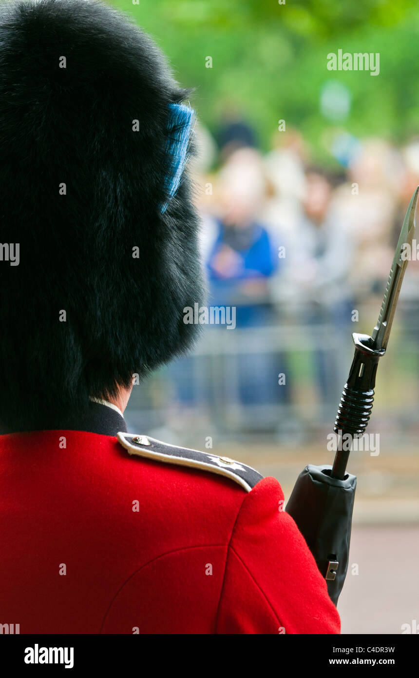 Trooping il colore cerimonia per la sfilata delle Guardie a Cavallo. Foto Stock