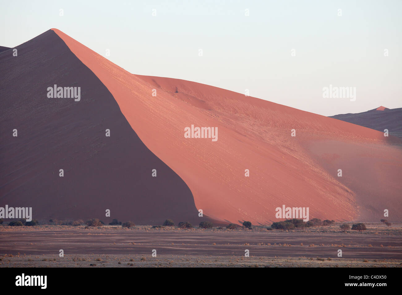 Le dune di sabbia del deserto del Namib - Namibia. Tra le dune più alte del mondo. Foto Stock