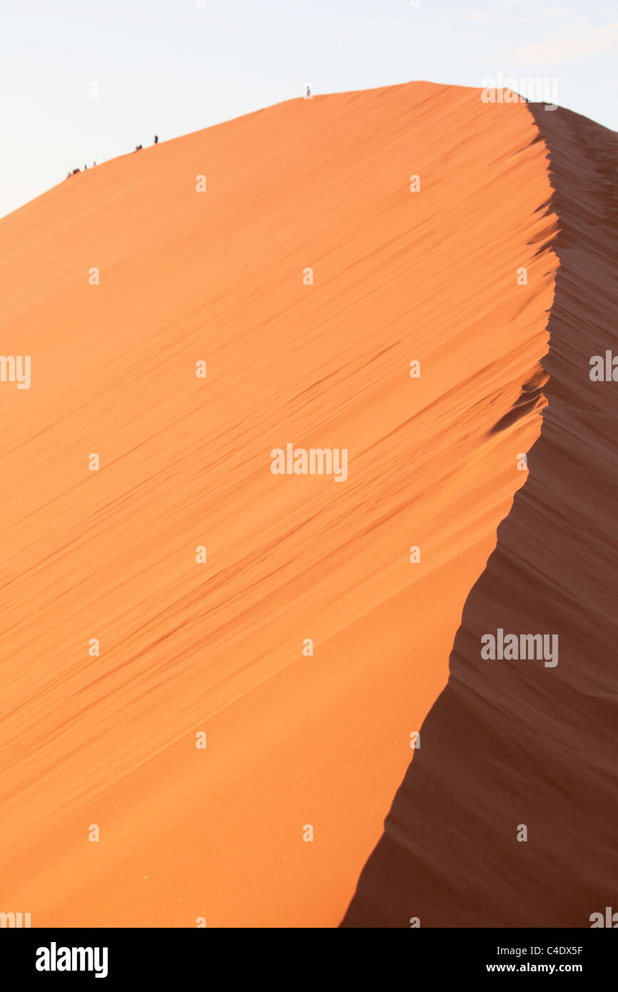 45 dune nel deserto del Namib - Namibia. Tra le più alte dune di sabbia nel mondo. Foto Stock