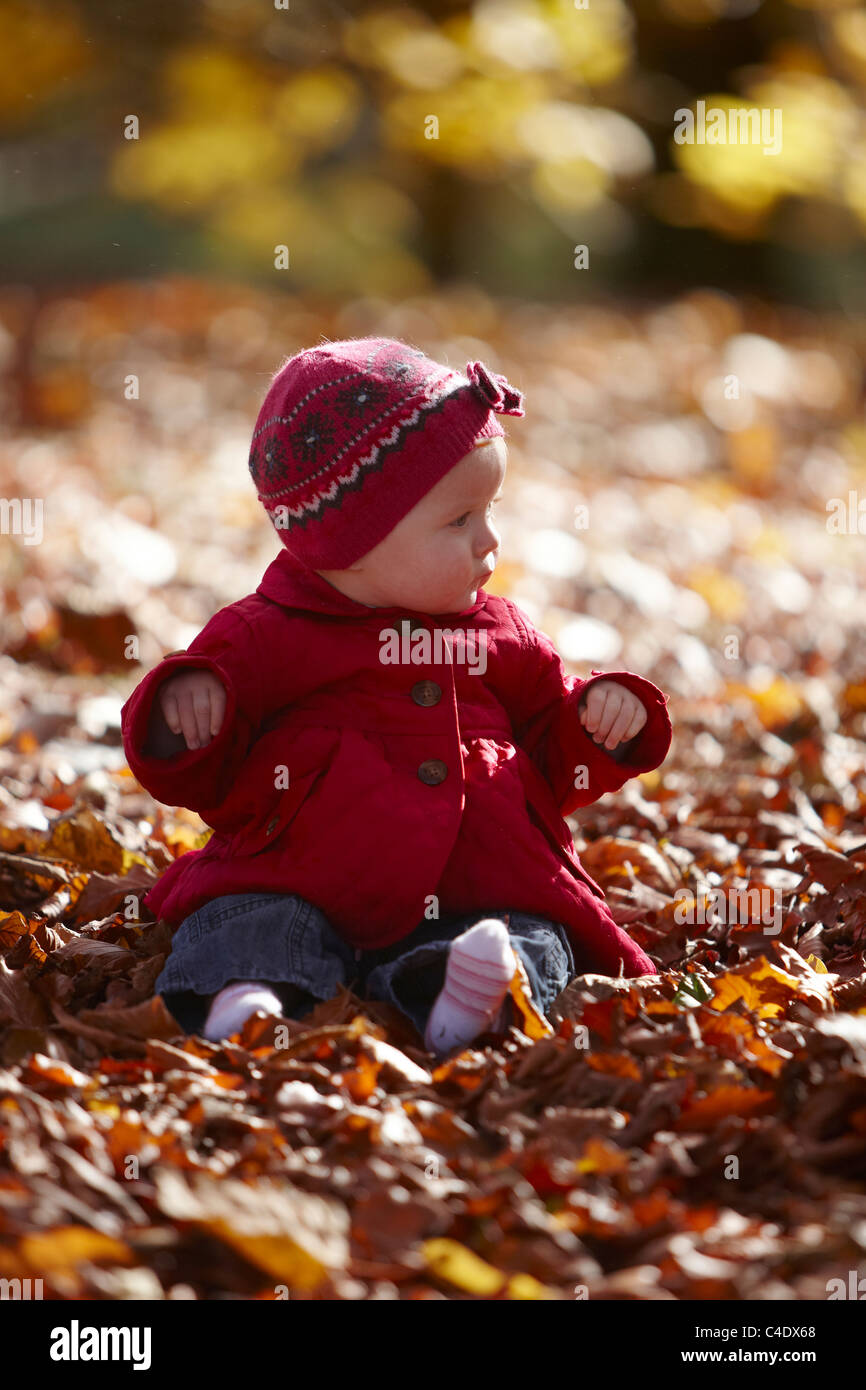 8 mese fa bambina nel parco in autunno con le foglie intorno Foto Stock