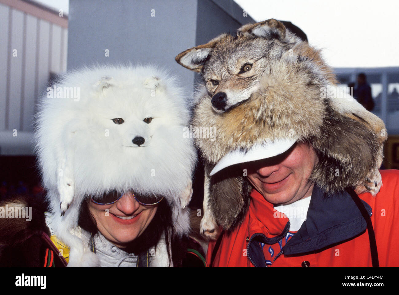 Teste di animali sono consumati come pellicce cappelli da una donna e un uomo in pelliccia annuale Rendezvous winter festival che si tiene ogni febbraio ad Anchorage in Alaska, Stati Uniti d'America. Foto Stock