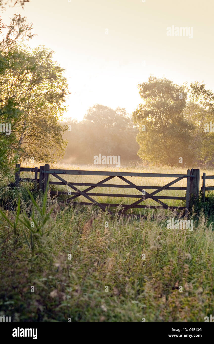 Tranquilla campagna inglese all'alba, Lackford laghi, Suffolk, Regno Unito Foto Stock