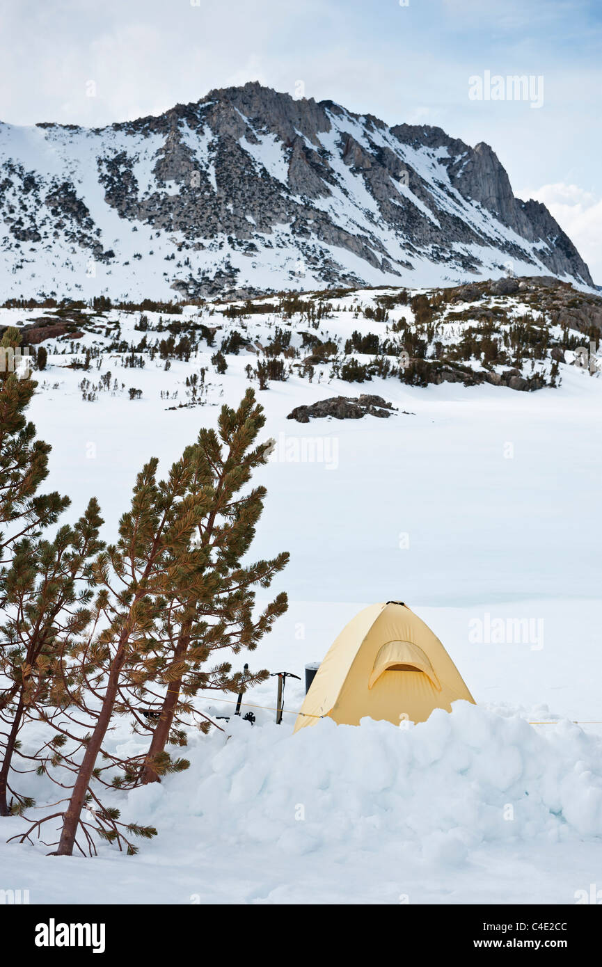 Giallo tenda in montagne invernali Campeggio Sierra Nevada, in California, Stati Uniti d'America Foto Stock