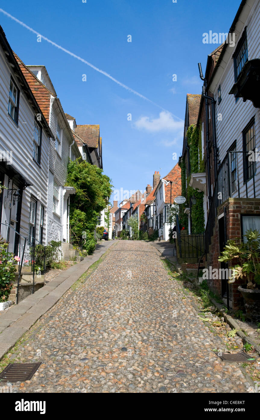 Strada di ciottoli in segale, in East Sussex, Inghilterra Foto Stock