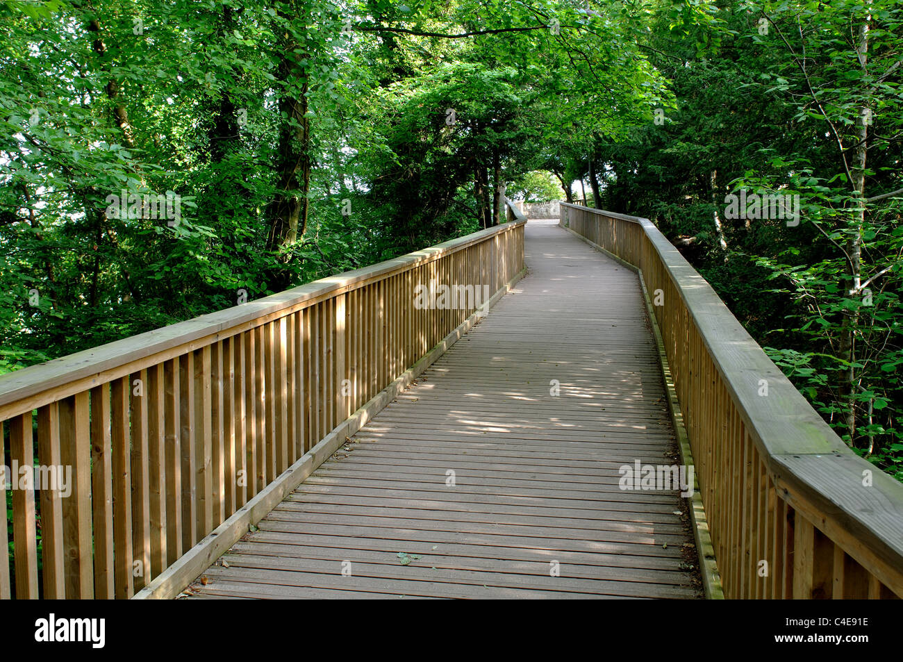 Passerella per Yat Rock, Symonds Yat, Gloucestershire, England, Regno Unito Foto Stock