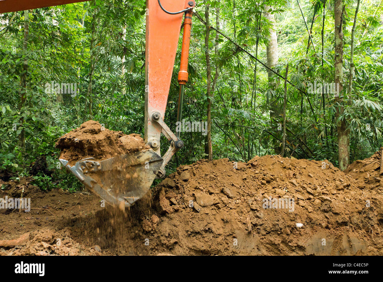 Scavatrice nella foresta pluviale tropicale, la distruzione di foresta Foto Stock