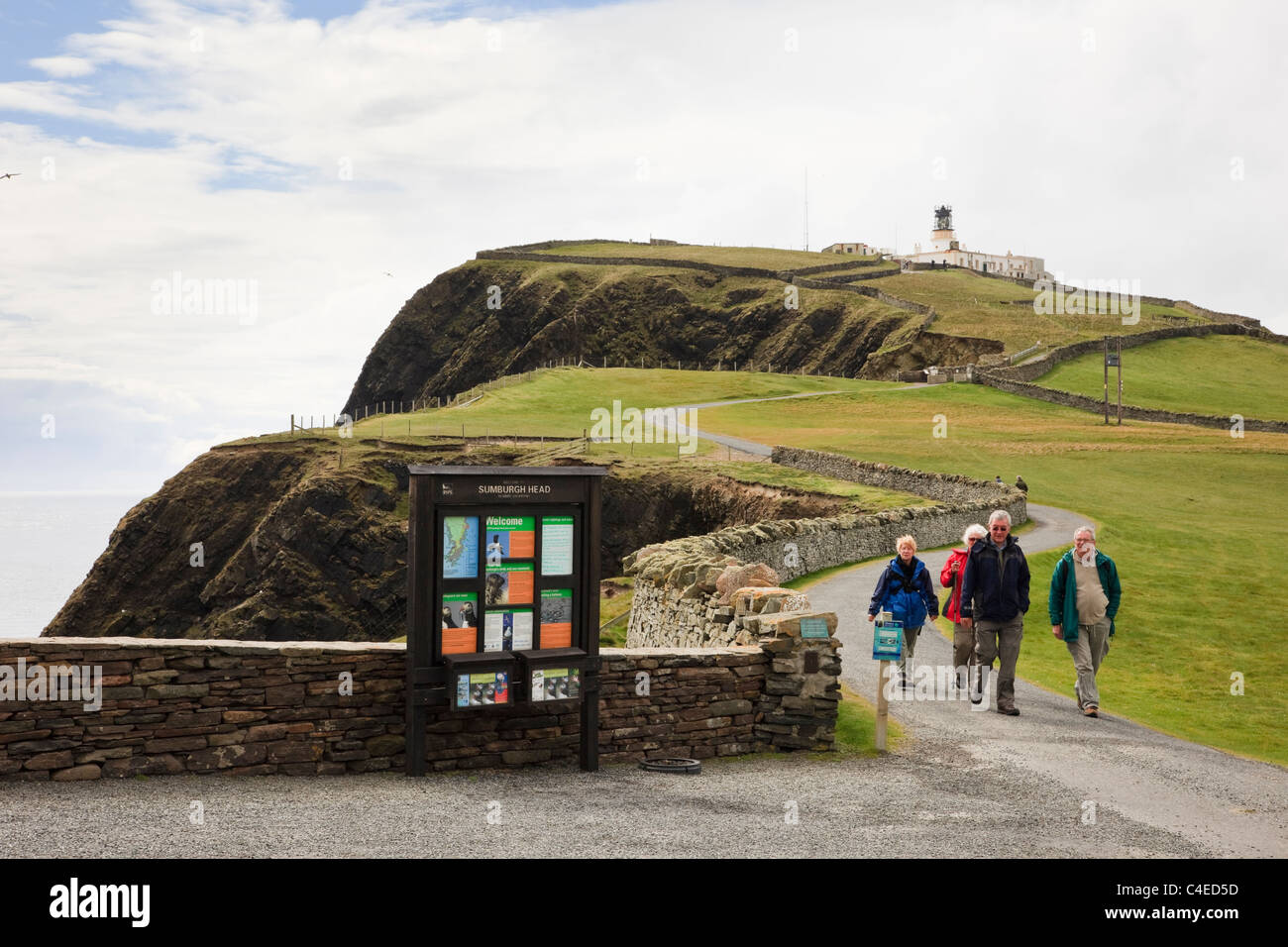 I visitatori di RSPB riserva naturale di uccelli marini allevamento su scogliere con faro Sumburgh Head, isole Shetland, Scotland, Regno Unito Foto Stock