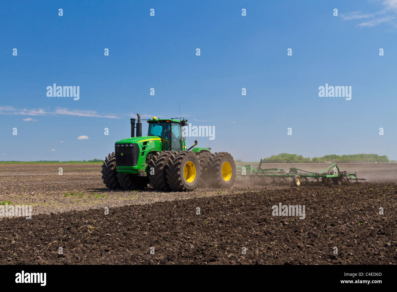 La molla coltivare sulla Froese agriturismo vicino a Winkler, Manitoba, Canada. Foto Stock