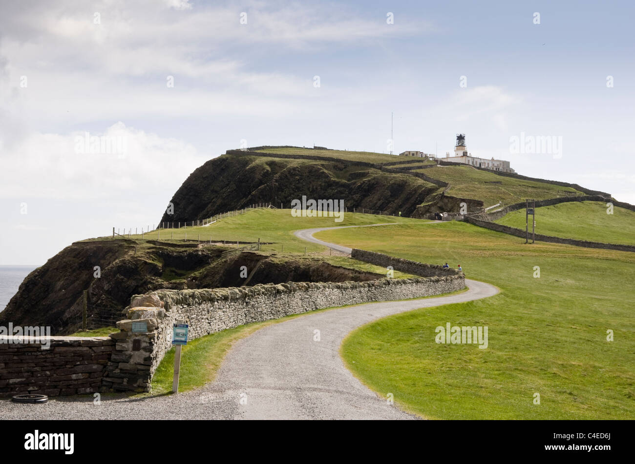 Sumburgh Head, isole Shetland, Scotland, Regno Unito. Vista RSPB riserva naturale di uccelli marini allevamento su seacliffs con il faro Foto Stock