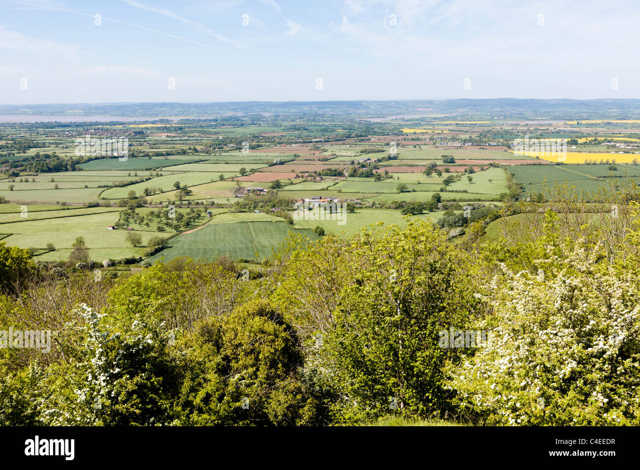 La vista su tutta la Severn vale per la Foresta di Dean dal Cotswold modo su Haresfield Hill, Gloucestershire, England Regno Unito Foto Stock