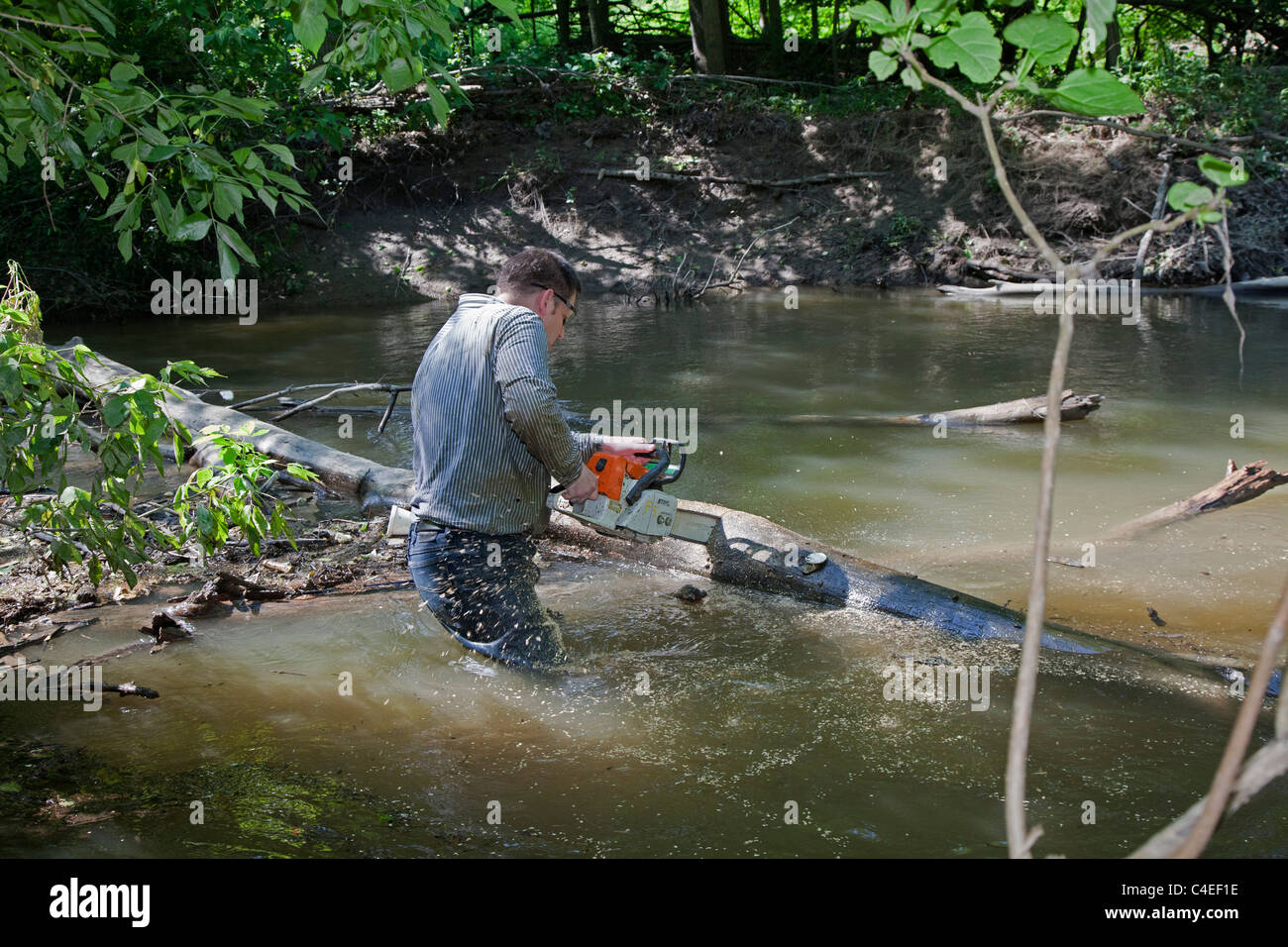 Volontari chiaro impasse come parte della pulizia annuale del Rouge River Foto Stock