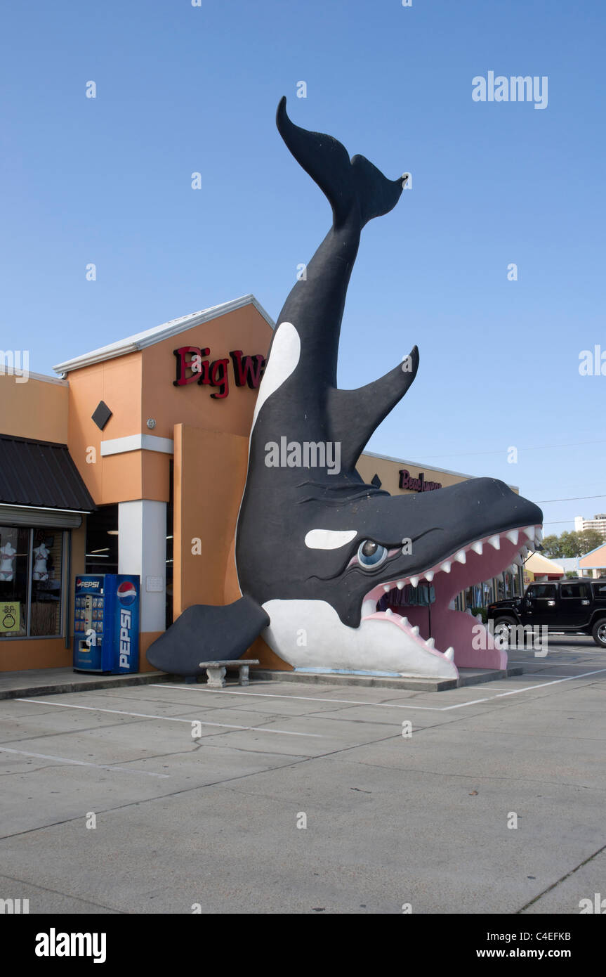 Florida Panhandle Panama City Beach negozio di Souvenir e una spiaggia negozio di usura con il gigante balene killer formante l'ingresso. Foto Stock