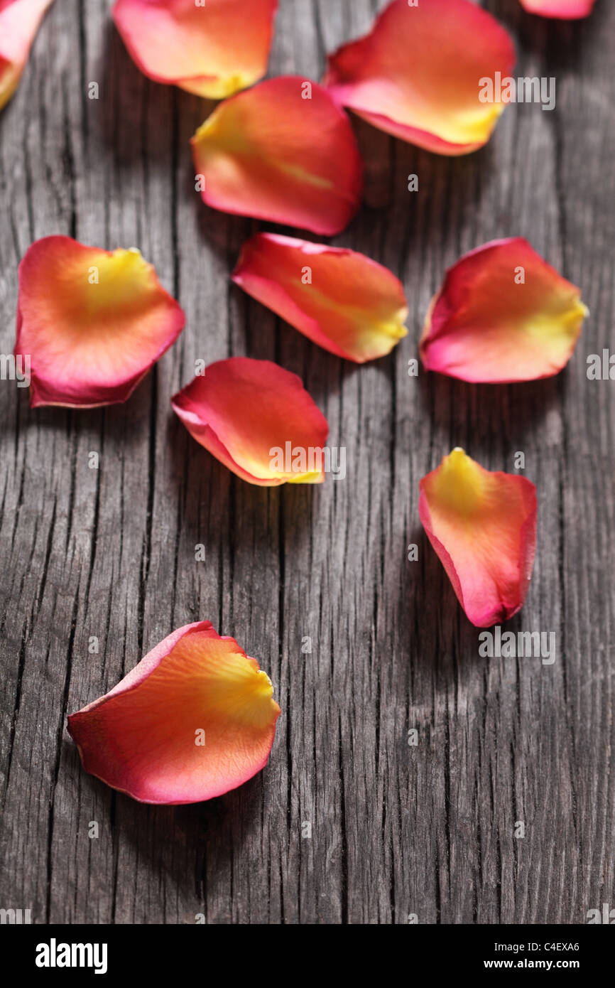 Petali di rosa su sfondo di legno Foto Stock