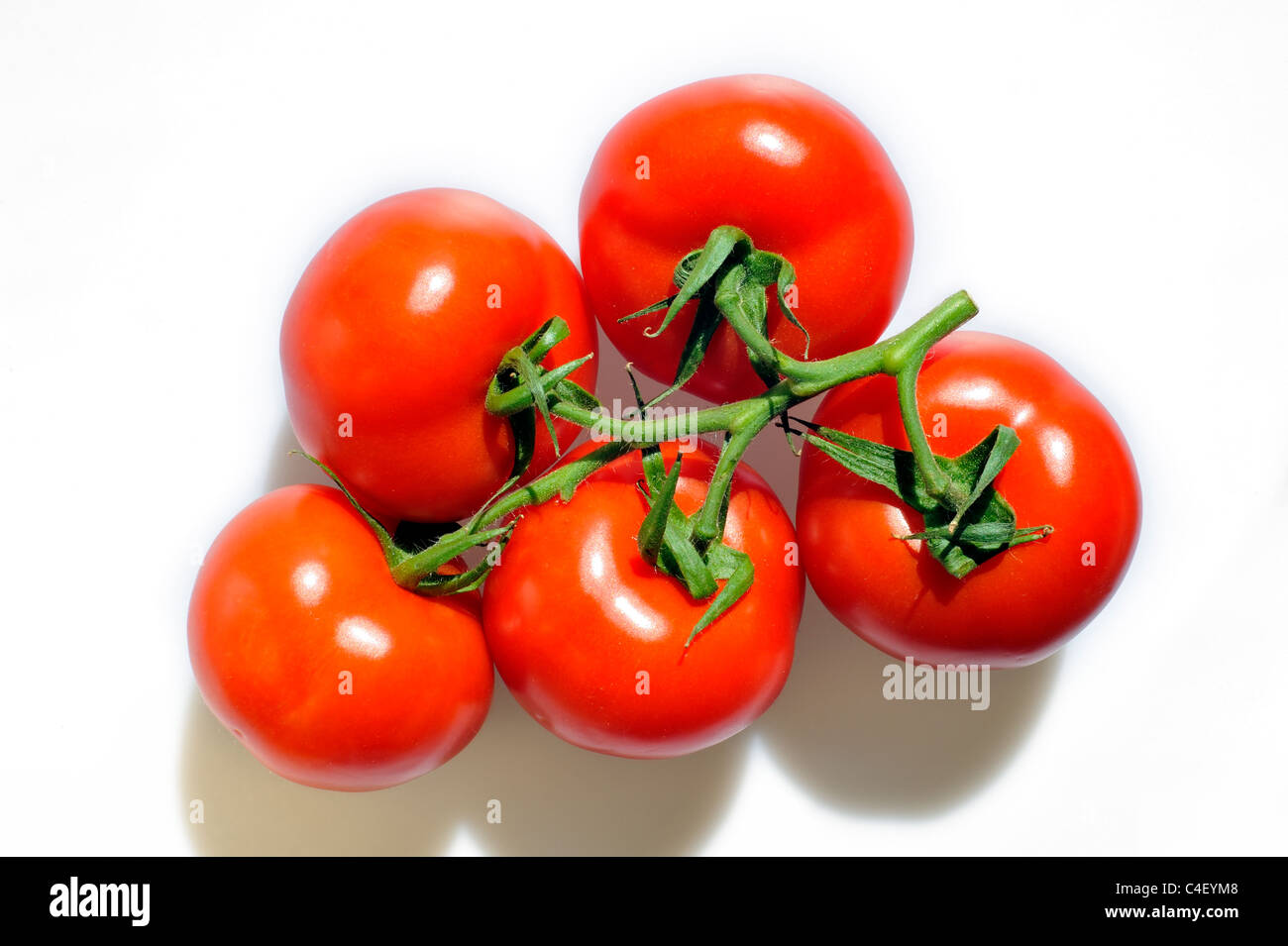 Grappolo di pomodori a grappolo (Lycopersicon esculentum) su sfondo bianco Foto Stock