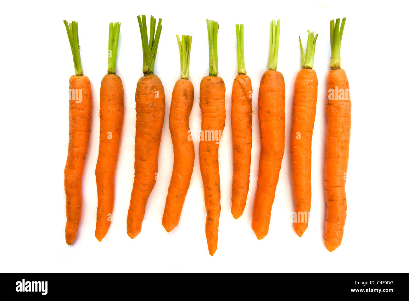 Linea di carote isolato su bianco Foto Stock