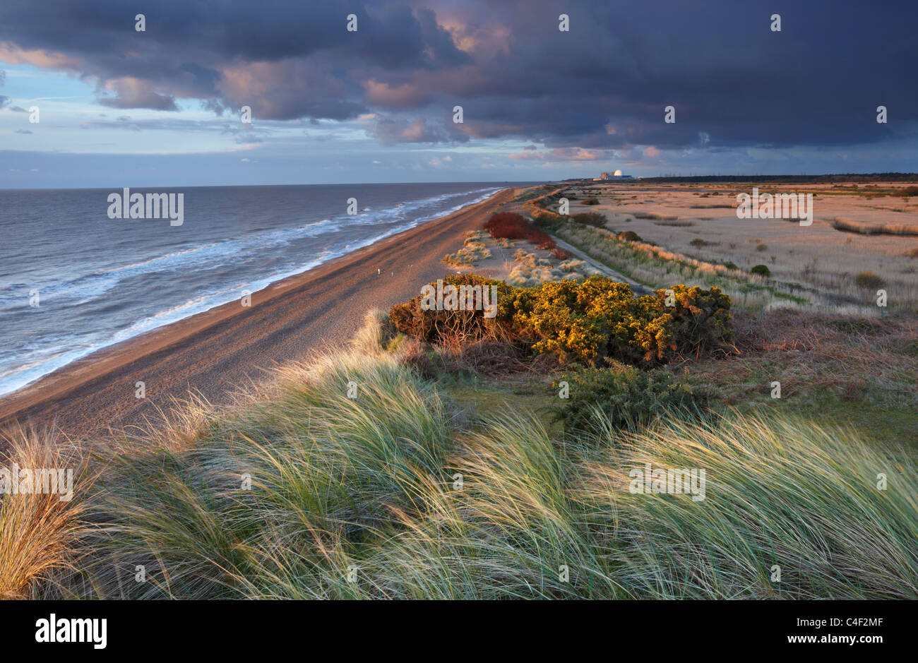 Dunwich sulla costa di Suffolk Foto Stock