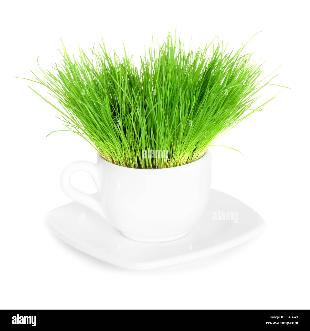 Erba verde nella tazza bianca isolata Foto Stock