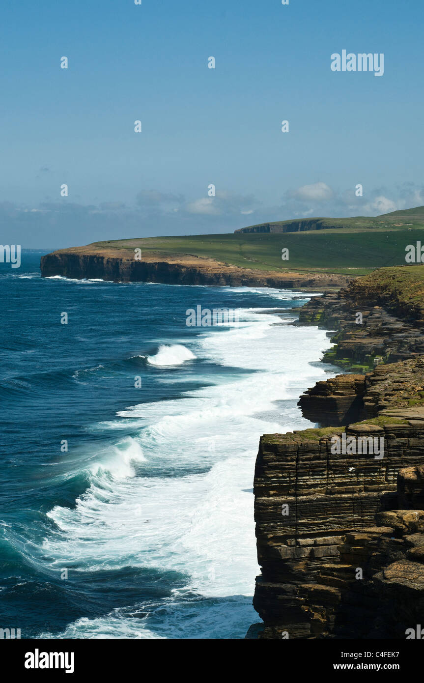 Dh Skea punto BIRSAY ORKNEY North Coast seacliffs onde da surf rottura coste britanniche costa della Scozia Foto Stock