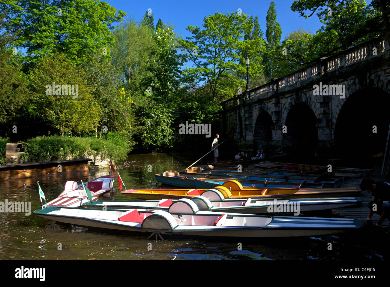 Punting sotto Magdalen Bridge sul fiume Cherwell, Oxford, Oxfordshire, Inghilterra, UK, Regno Unito, GB Gran Bretagna, Foto Stock