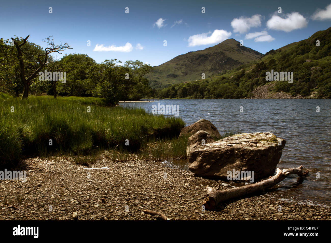 Llyn Gwynant, un lago a sud di Snowdon nel Parco Nazionale di Snowdonia, Galles Foto Stock