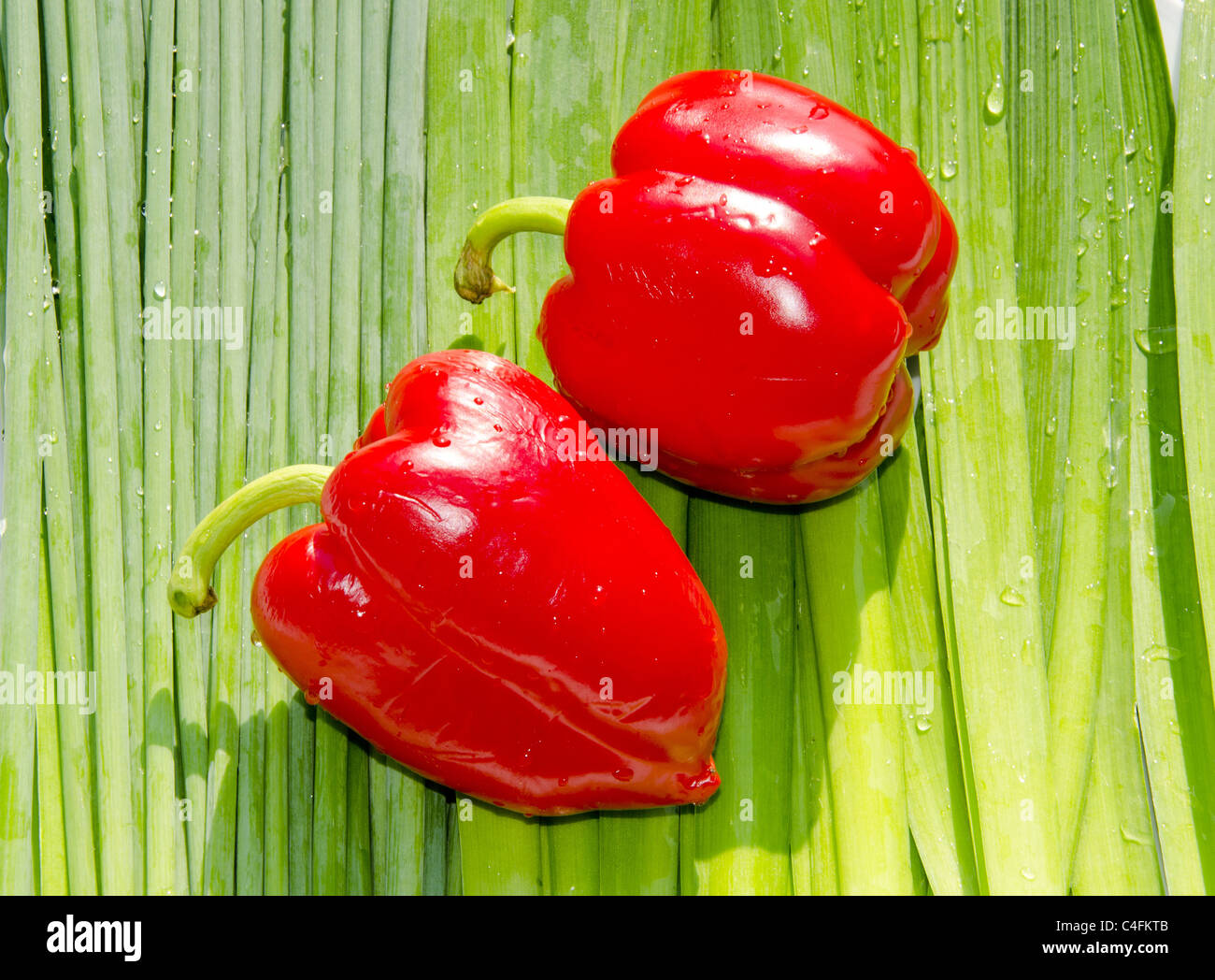 Due fat paprikas rosso sulla fila di orions verde. Foto Stock