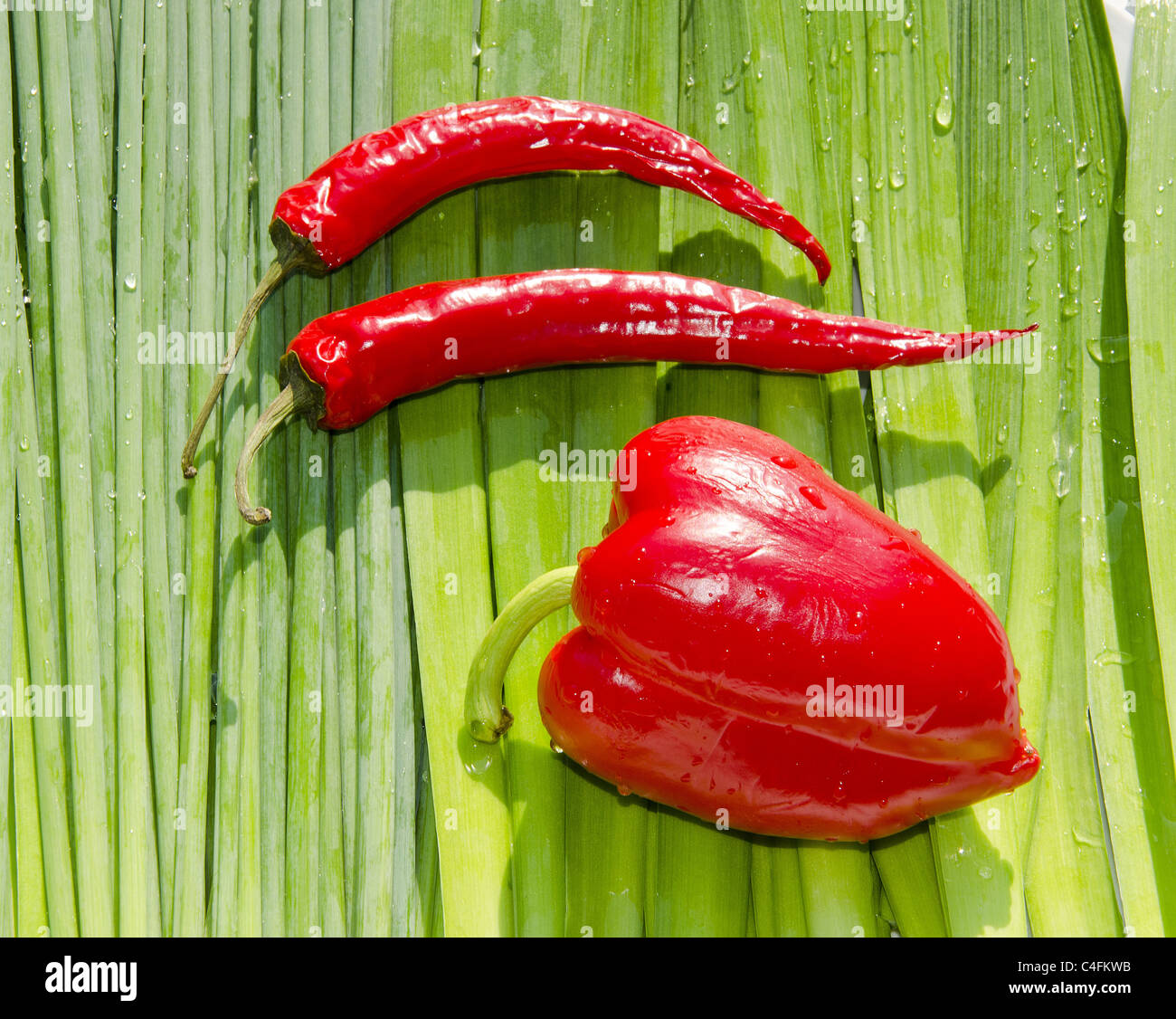 Slim e fat peperoni rossi sulla fila di orions verde. Foto Stock