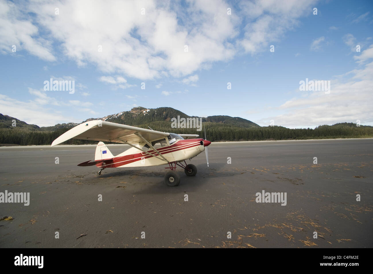 Maule piano Bush sulla spiaggia di Isola Hinchenbrook, Prince William Sound, Alaska Foto Stock