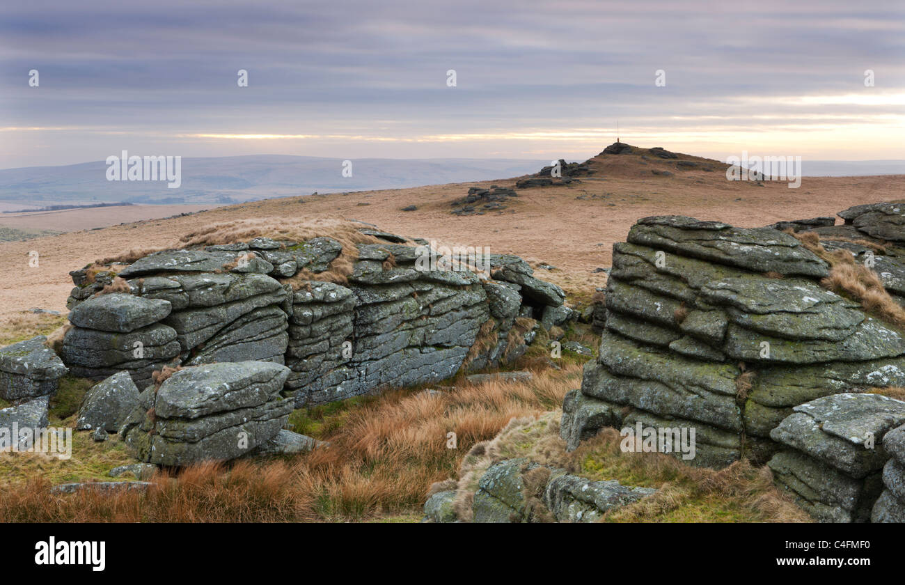 Beardown tori nei pressi di due ponti, Parco Nazionale di Dartmoor, Devon, Inghilterra. Inverno (gennaio 2011). Foto Stock