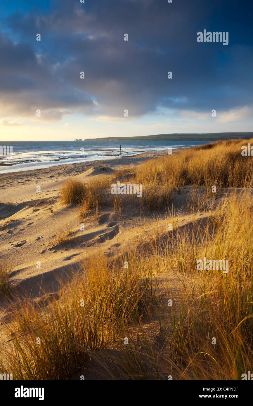 Studland Beach con vedute di Old Harry Rocks, Dorset, Inghilterra. Inverno (febbraio) 2011. Foto Stock