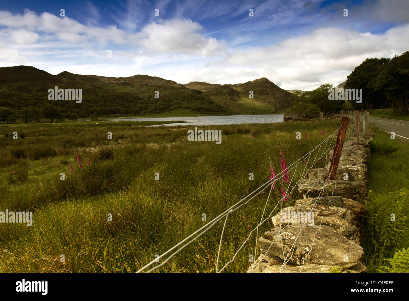 Llyn Dinas, un lago vicino Beddgelert, Gwynedd in Snowdonia, il Galles del nord Foto Stock