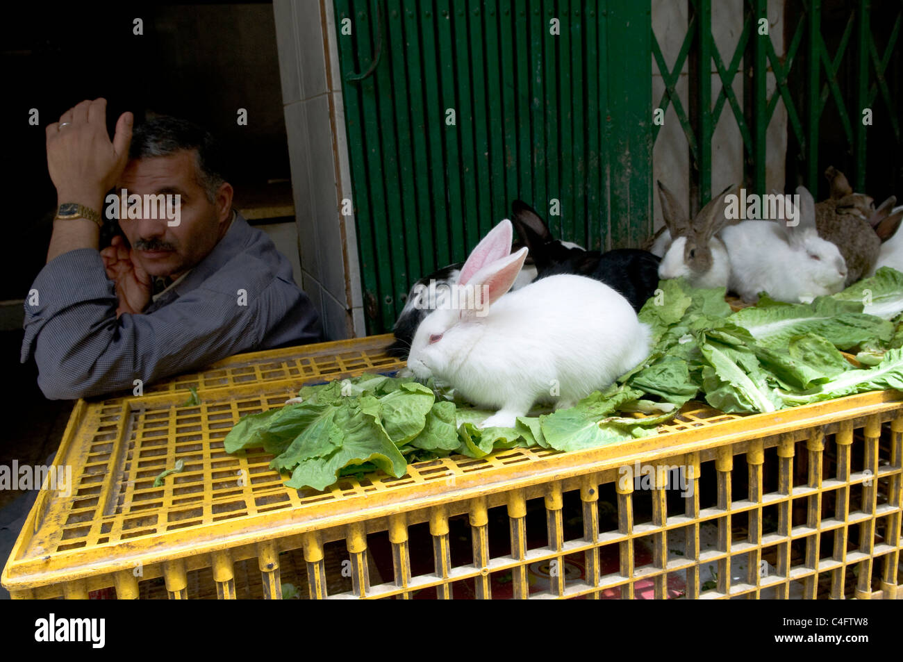 Scene di mercato al Cairo. Foto Stock
