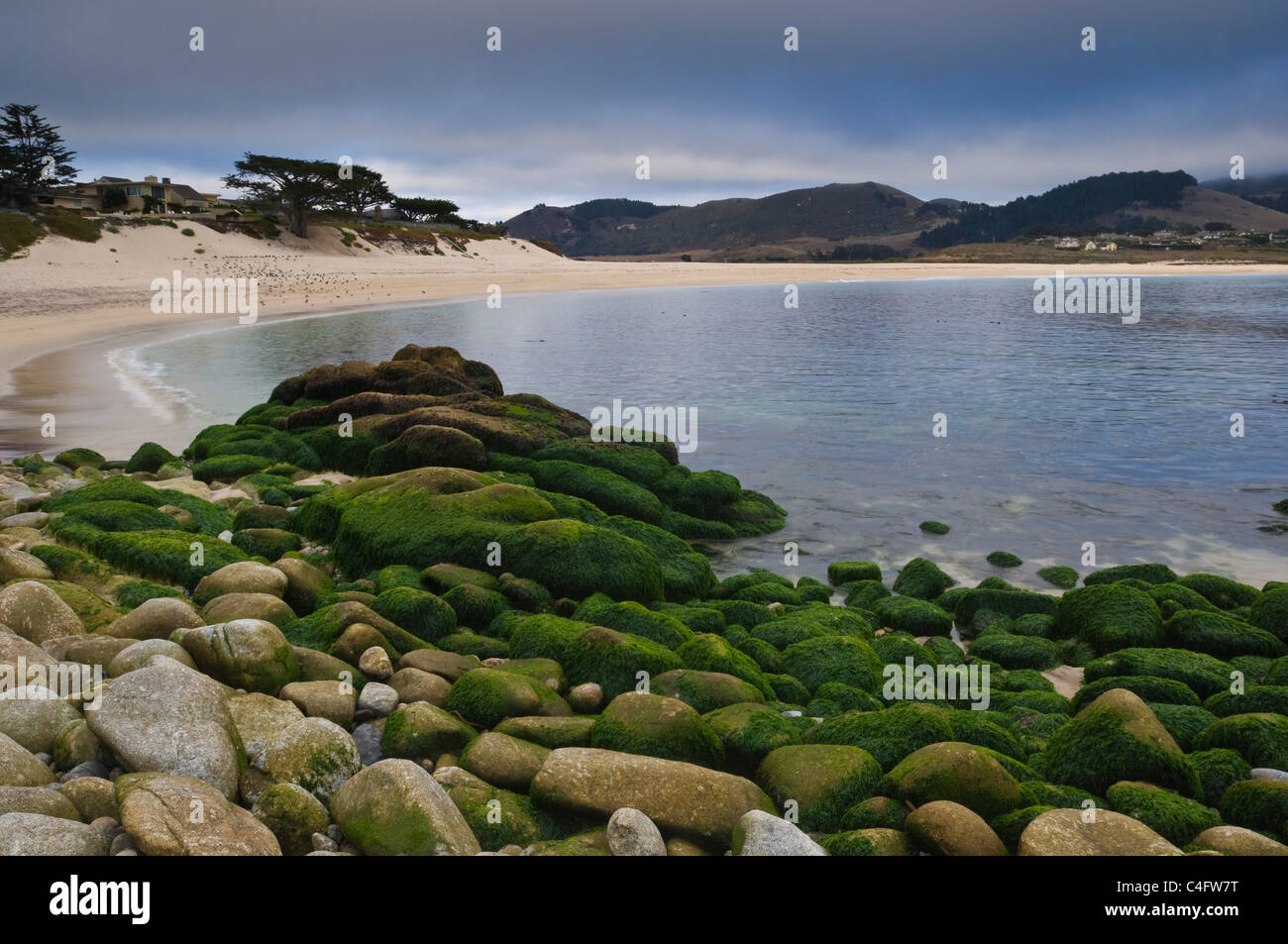 Coperte di alghe rocce lungo il litorale a Fiume Carmel Beach State, penisola di Monterey in California Foto Stock