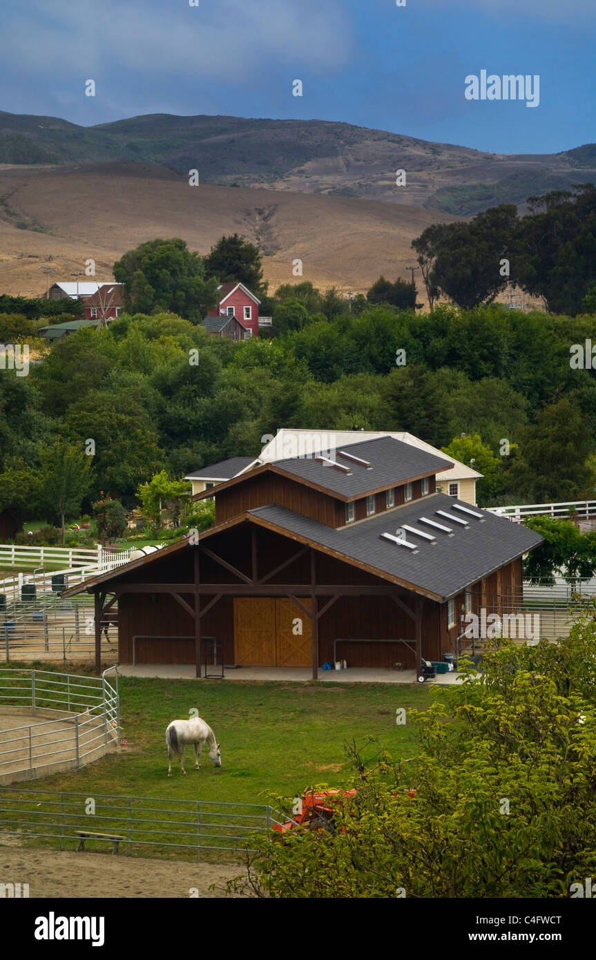 Allevamento di cavalli e le colline di San Gregorio, San Mateo County, California Foto Stock