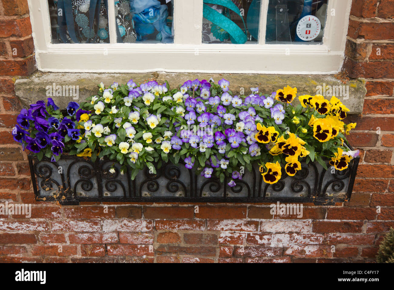 Pansies in nero ferro battuto window box rosso sul muro di mattoni, Ferrers Center,Staunton Harold, Ashby de la Zouch, Leicestershire, Regno Unito Foto Stock