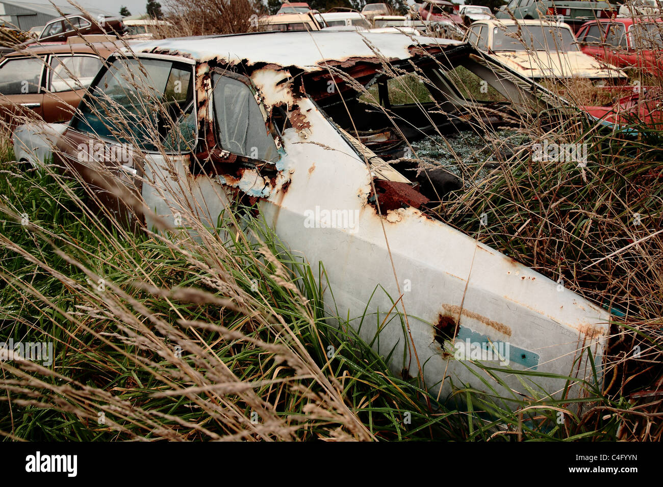 Un vecchio arrugginito auto presso un cantiere di scarto in Invercargill, Nuova Zelanda Foto Stock