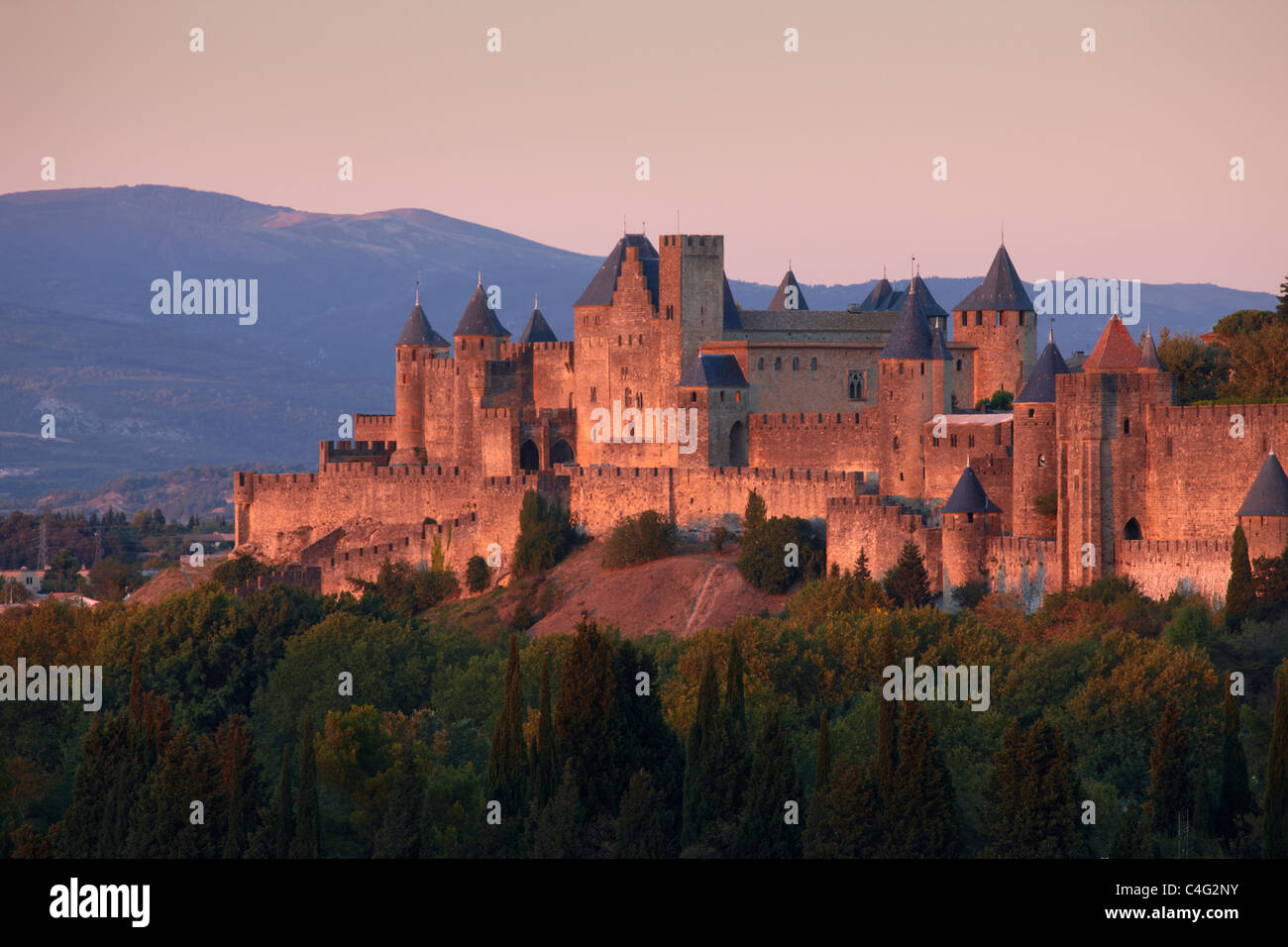 Carcassonne, Aude, Languedoc-Rousillon, Francia Foto Stock